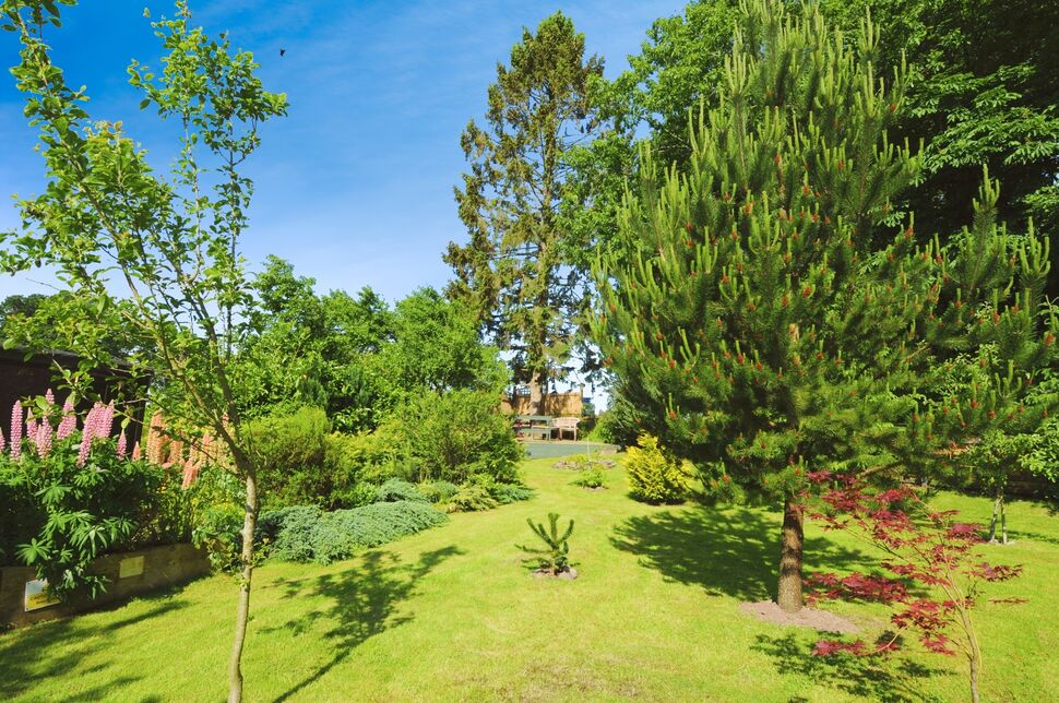 3 bedroom Detached Property for sale, Thornhill, Dumfries and Galloway