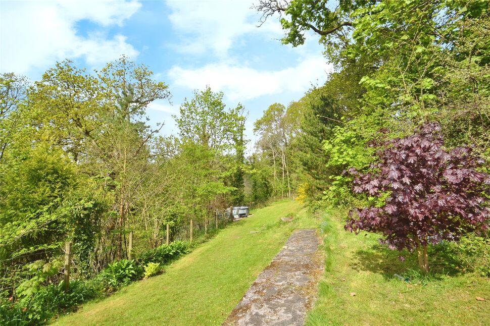 Image 19