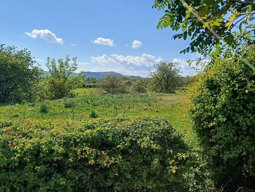 Image 20