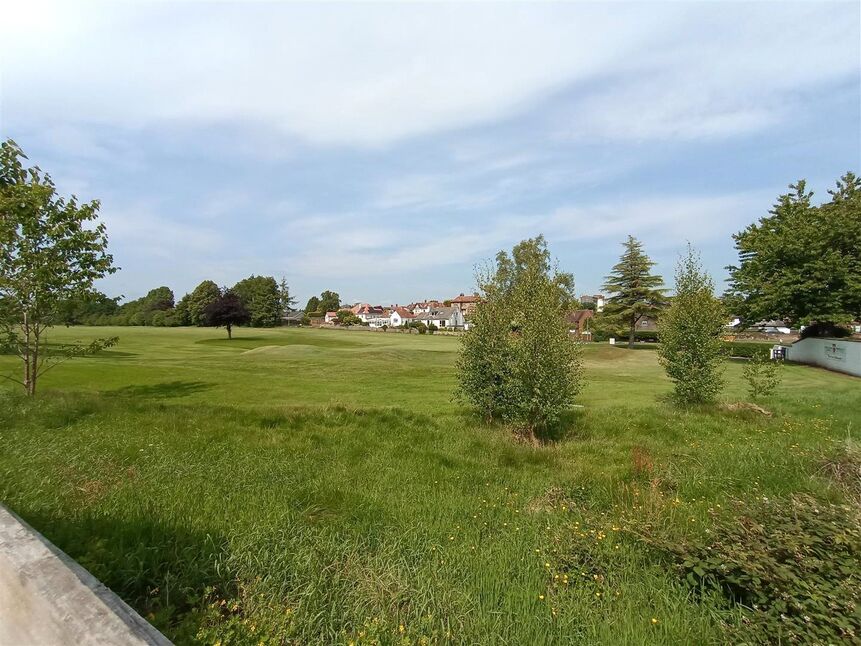 Image 20