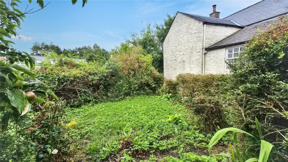 Image 19