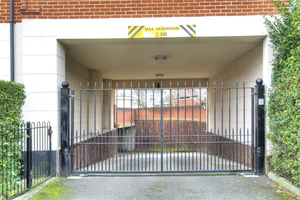 Image 19