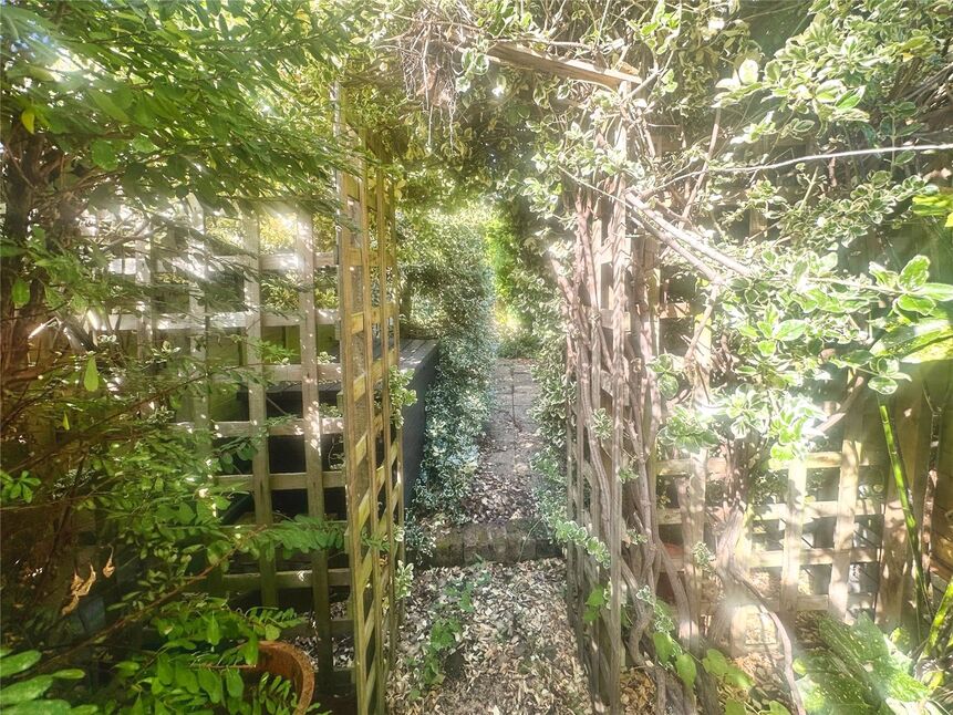 Image 12