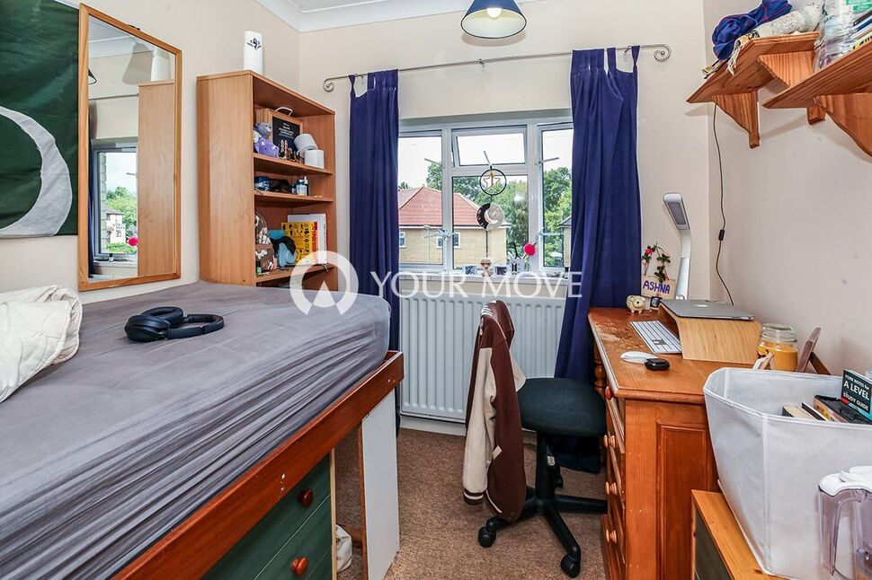 Image 7