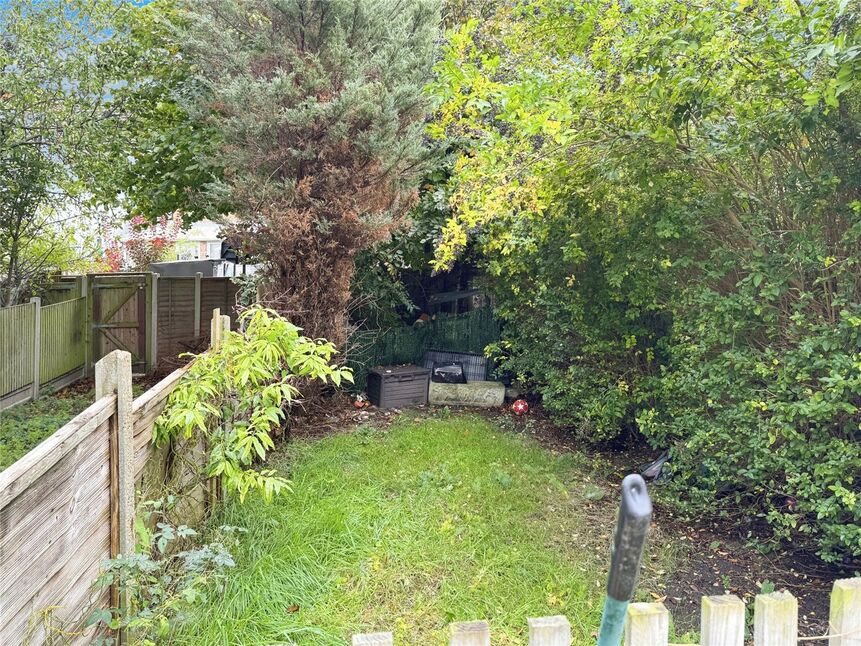 Image 8