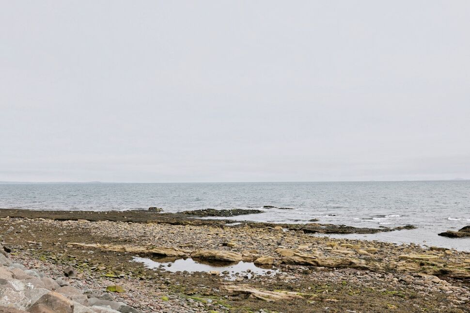 Image 17