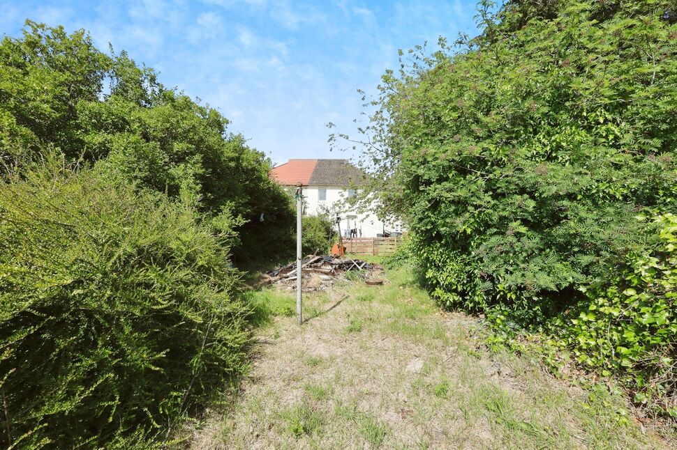 Image 13