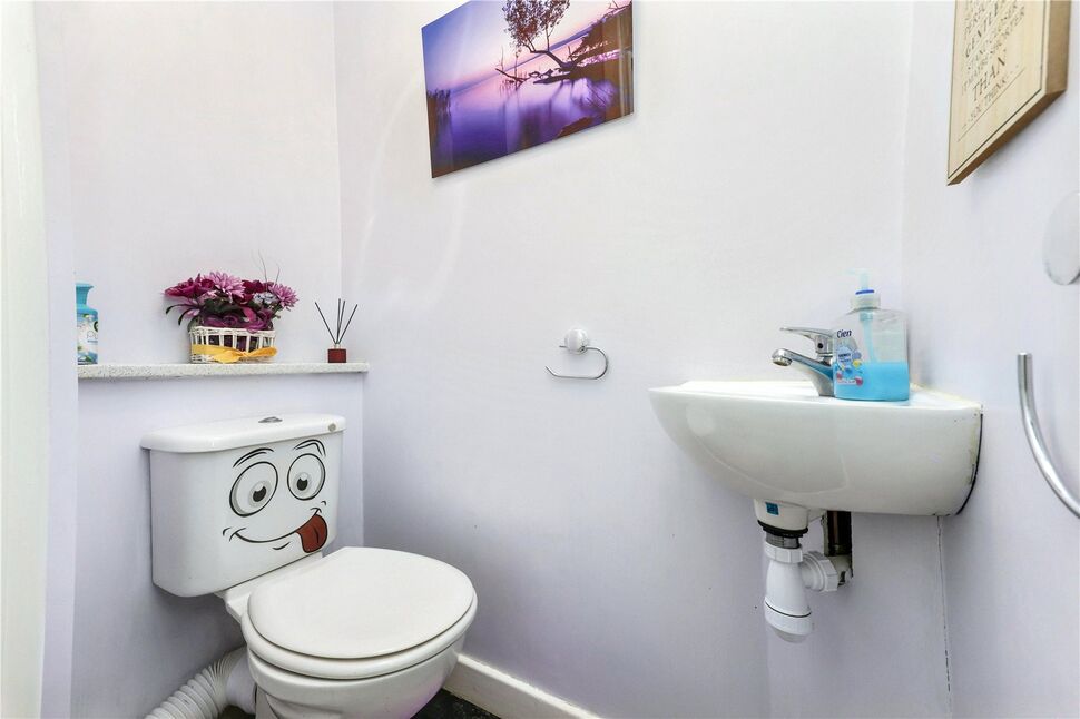 Image 12