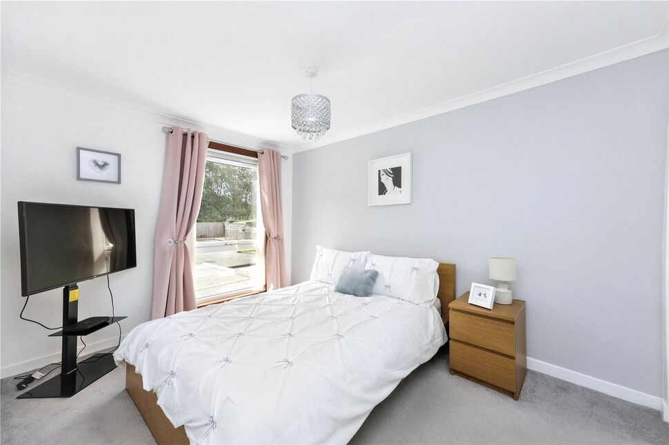 Image 16