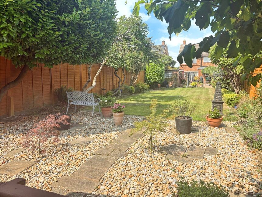 Image 15