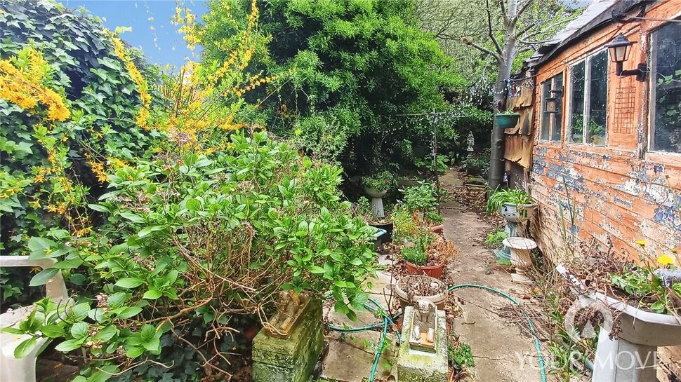 Image 12