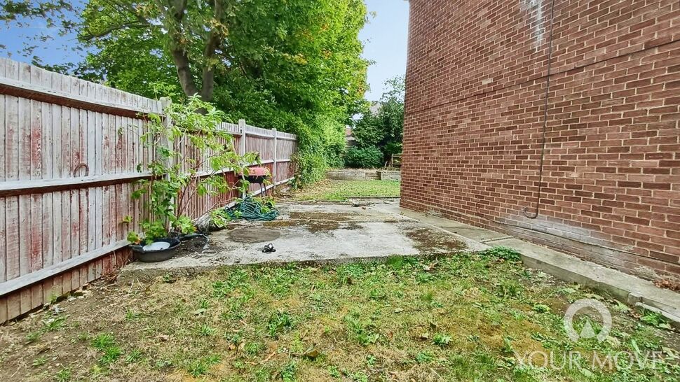 Image 14