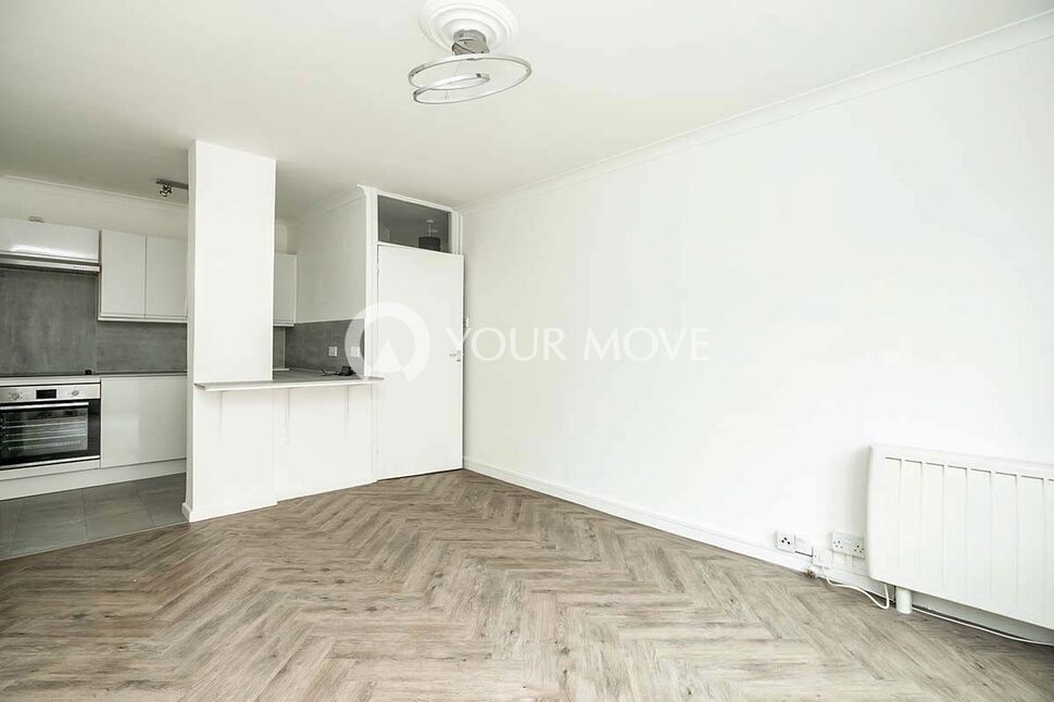 Open Plan Living Room / Kitchen