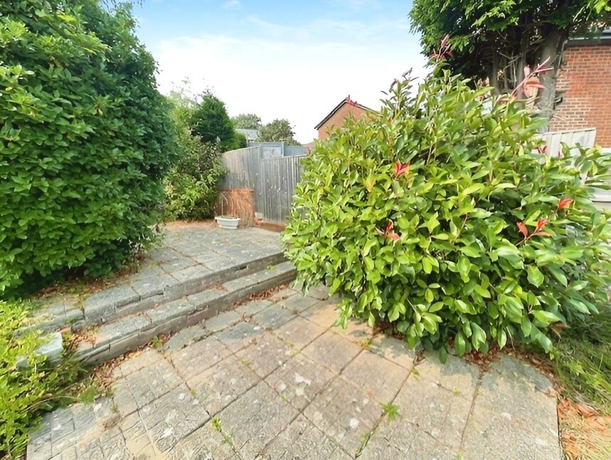 Image 21