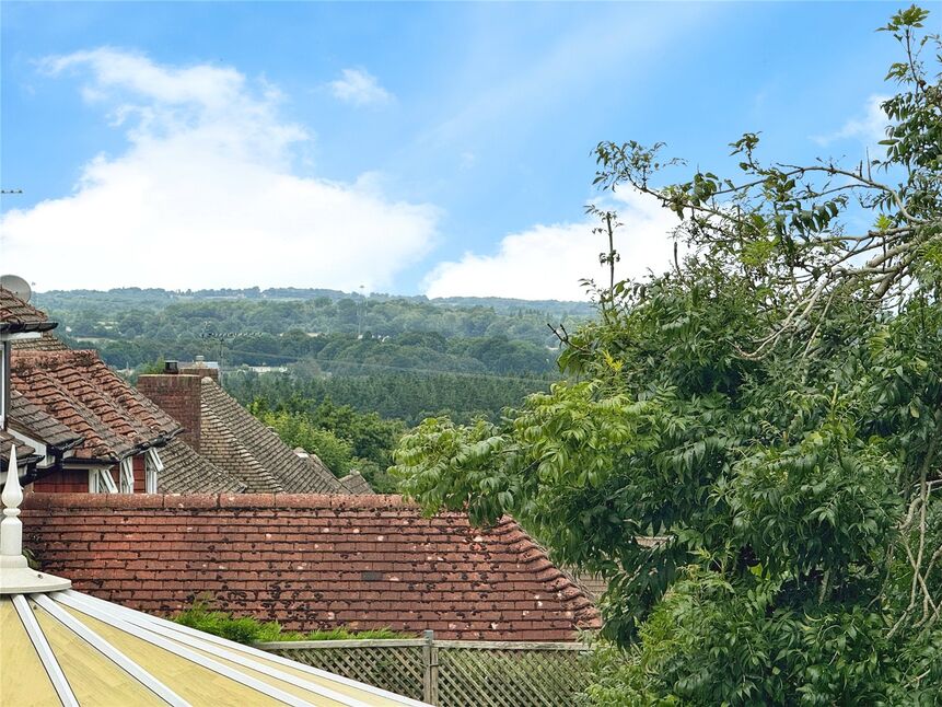 Image 14