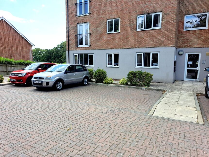 Image 11