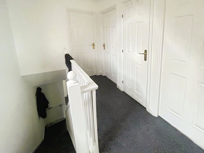 Image 19