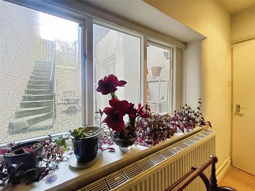 Image 11