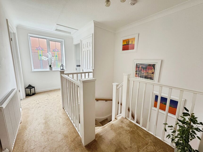 Image 12