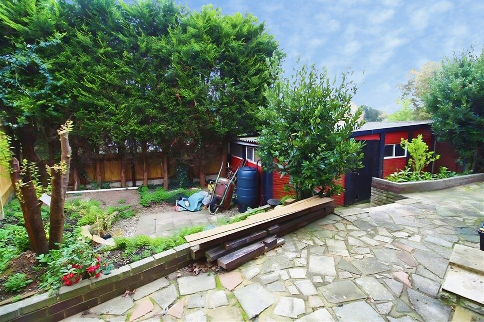 Image 11