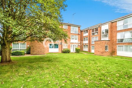 1 bedroom  Flat to rent