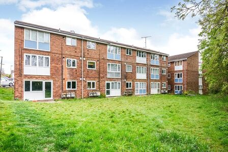 1 bedroom  Flat to rent