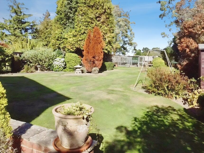 Image 21