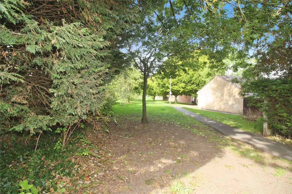 Image 13