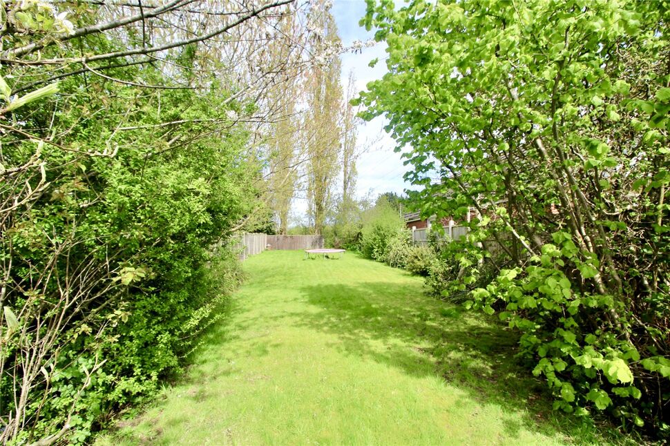 Image 13