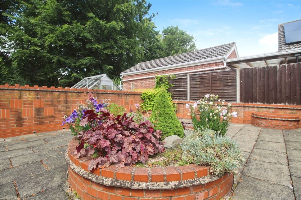 Image 12