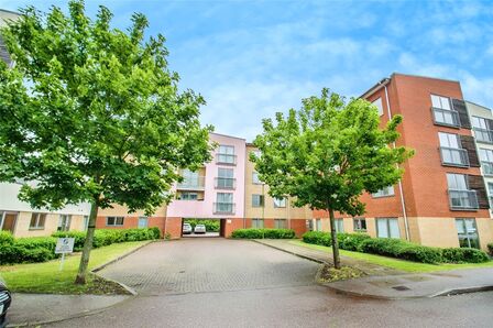 2 bedroom  Flat to rent