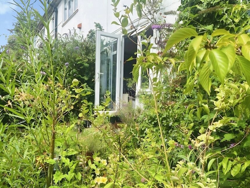 Image 18
