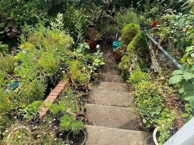 Image 17