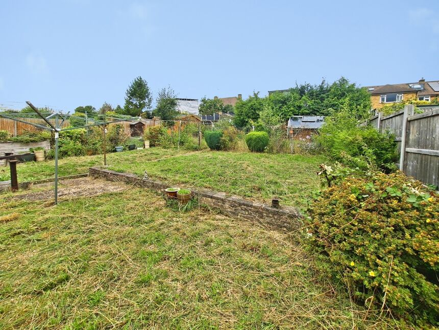 Image 15