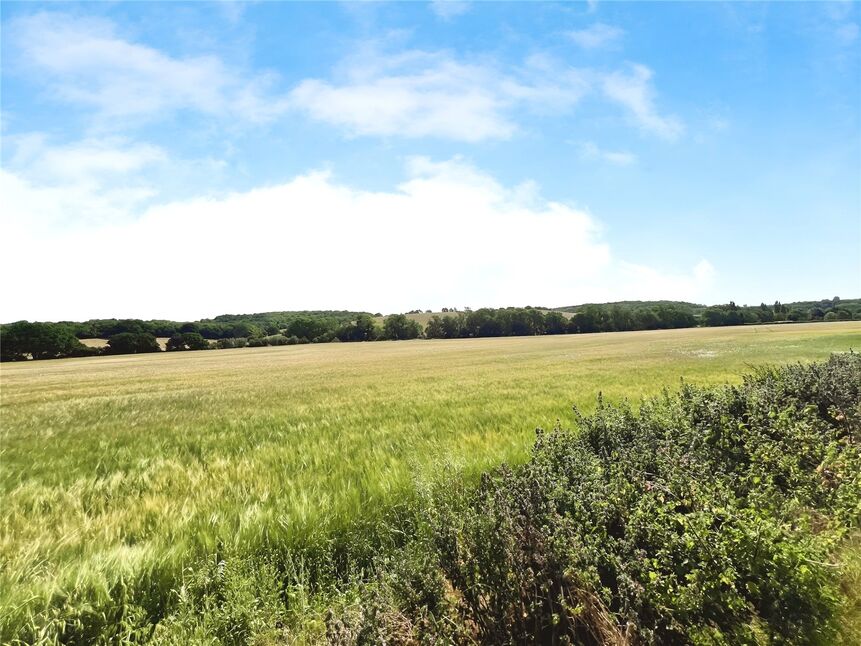 Image 22