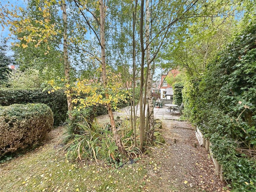 Image 21