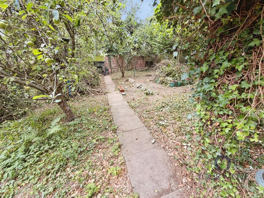 Image 12