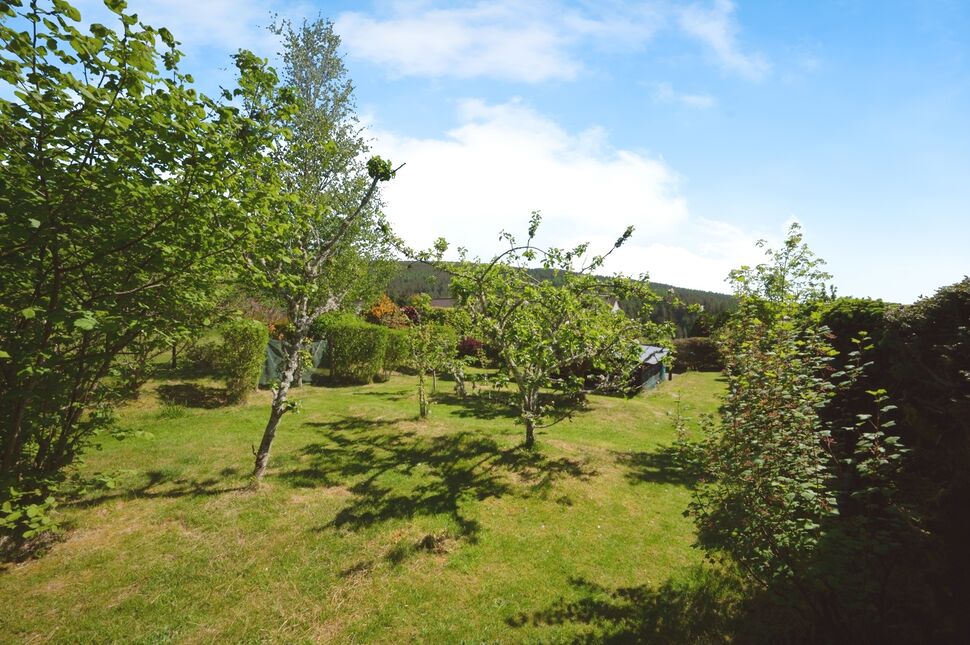 Side & Rear Gardens