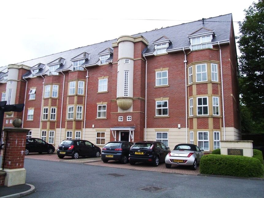 Image 7