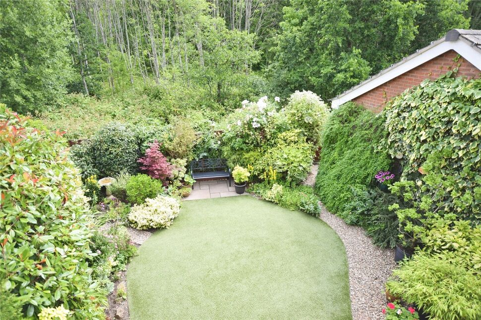 Image 14