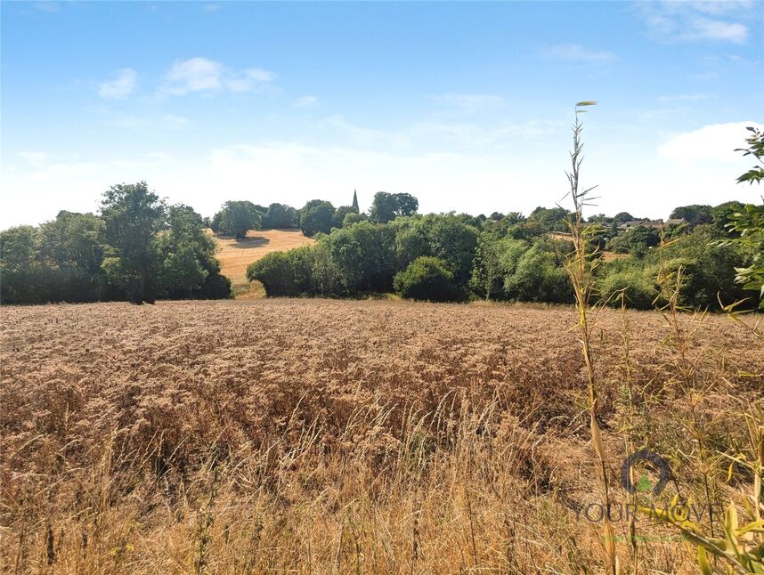 Image 10