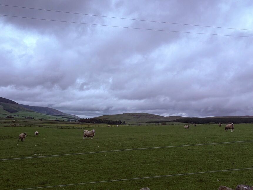 Image 10