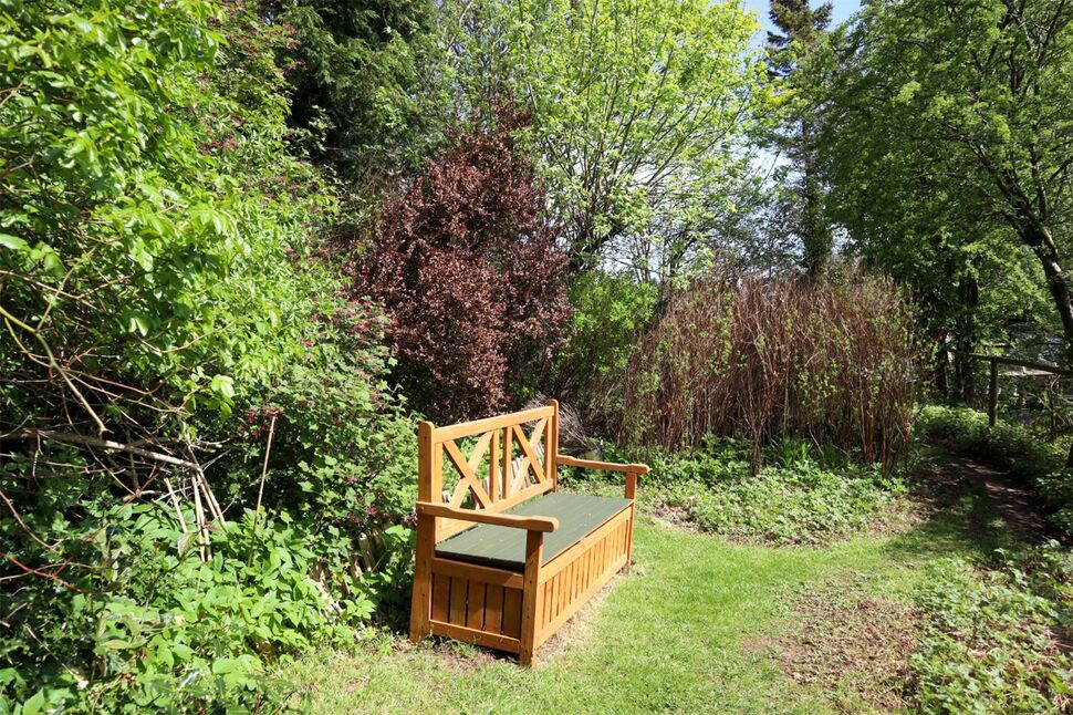 Image 16