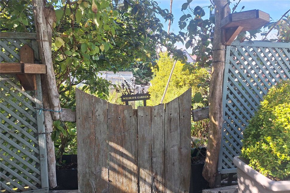 Image 15