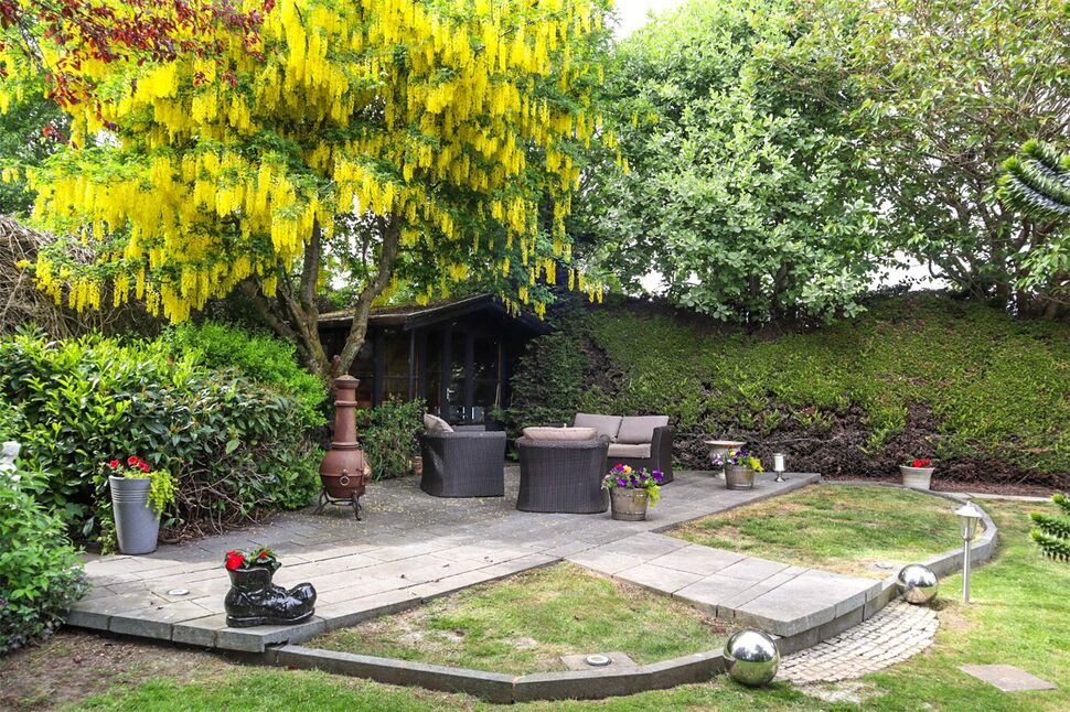 Image 30