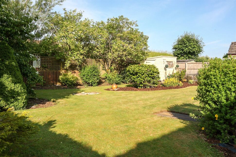 Image 20