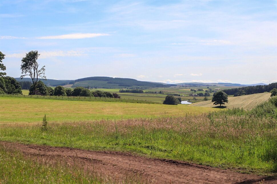 Image 15