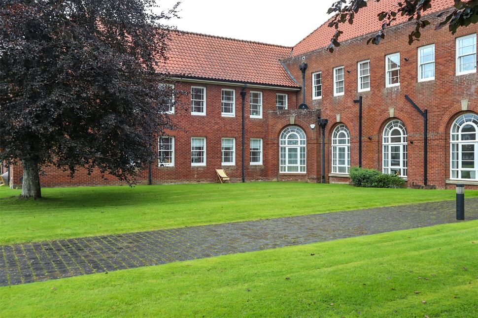 Image 15