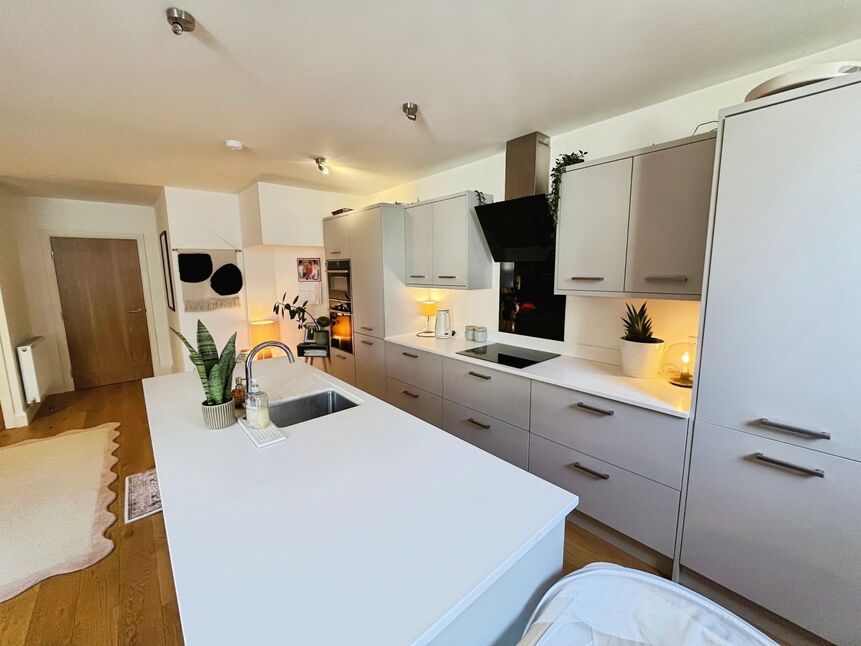 Lounge / Kitchen / Diner