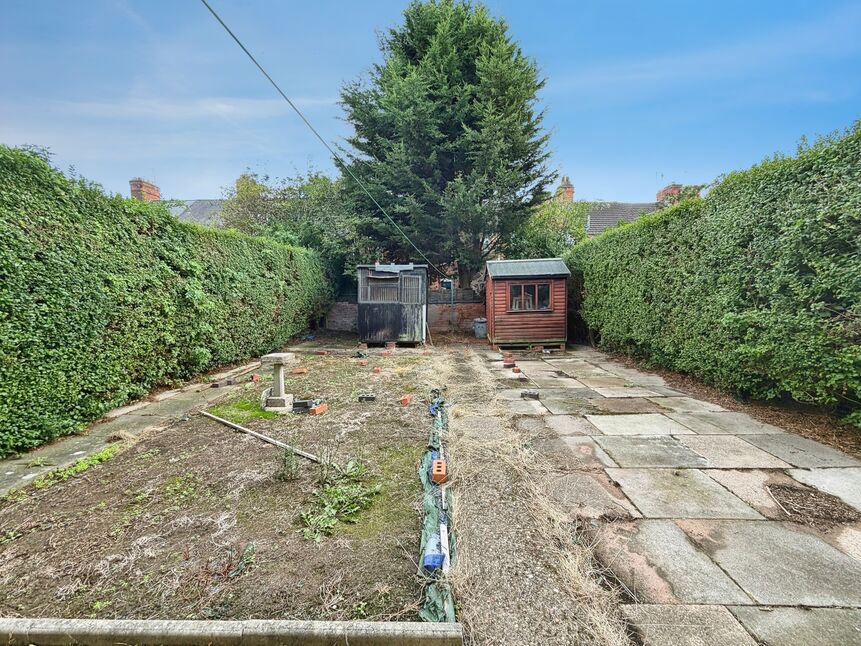 Image 13